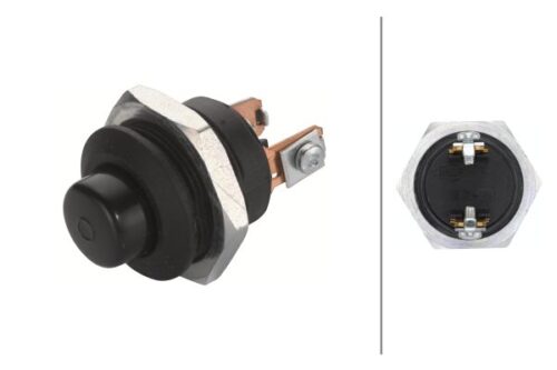 Διακόπτης μηχανής S29 Push control Αριθμός Pin: 2 HELLA 6JF001571001
