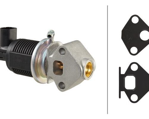 Βαλβίδα EGR VW Golf IV (1J1) HELLA 6NU010171431