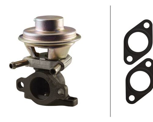 Βαλβίδα EGR Fiat Ducato Box (250_290_) HELLA 6NU010171481