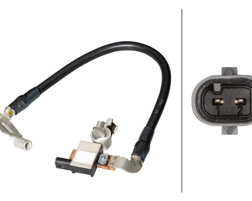 Αισθητήρας, διαχείρισης μπαταρίας 12V Bolted BMW X1 (E84) HELLA 6PK013288911
