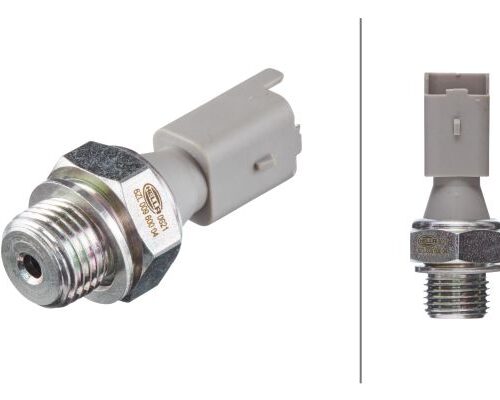 Βαλβίδα Πίεσης 12V Ford Fiesta V (JH_JD_) HELLA 6ZL009600041
