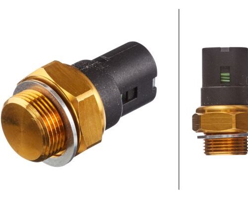 Βαλβίδα Βεντιλατέρ 12V Blade Terminal Renault Clio II (BB_CB_) HELLA 6ZT007808011