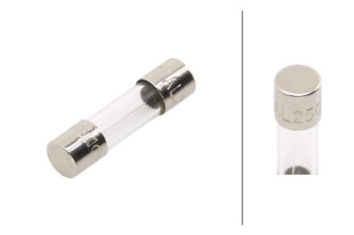 Fuse Glass 5A Crystal clear Ποσότητα: 10 HELLA 8JS713550801