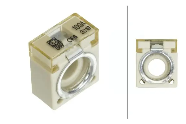 Ασφάλεια 100A Ποσότητα: 1 HELLA 8JS747876021