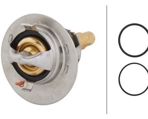 Θερμοστάτης Ψυκτικό Υγρoύ Mercedes Benz C Class (W203) HELLA 8MT354776151