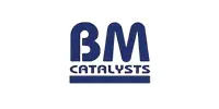 BM Catalysts