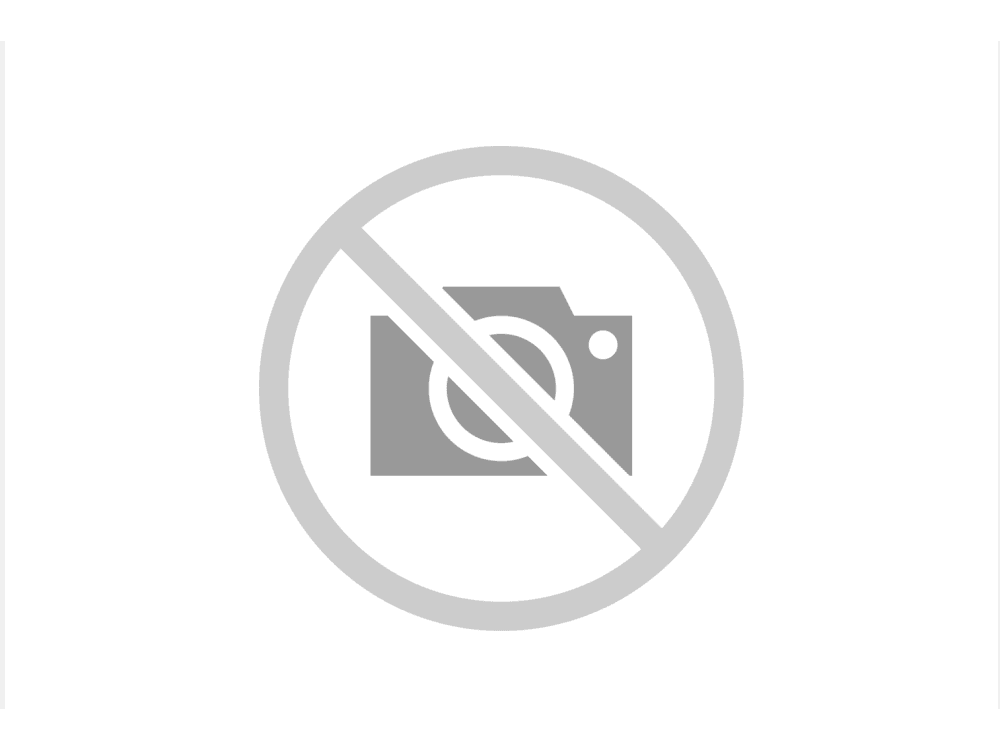 Μπουτόν / Διακόπτης Πορτμπαγκάζ Renault Megane I & Scenic I (1995-2002) – ΧΩΡΙΣ Μοτέρ – OEM 7700435694